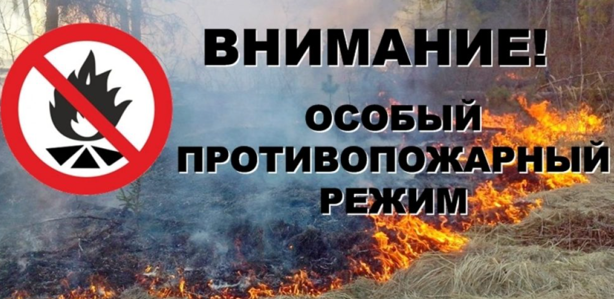 Введут особый противопожарный режим. Особый противопожарный режим в Ростовской области 2022. Внимание пожароопасный режим. Омобый противопожарный Пежи м. Введен особый противопожарный режим.