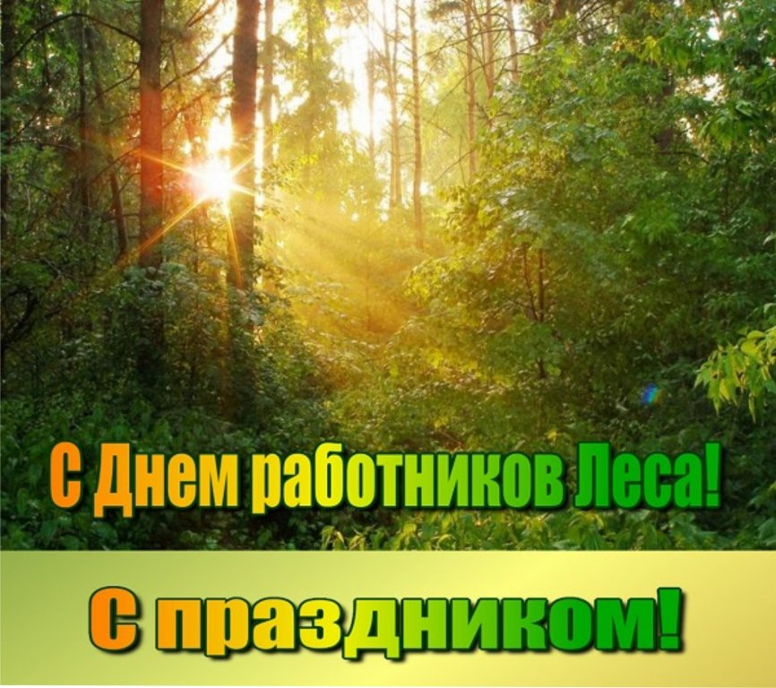 Поздравление главы района Александра Карлова и председателя Думы Михаила Гордиевского с Днем работников леса!