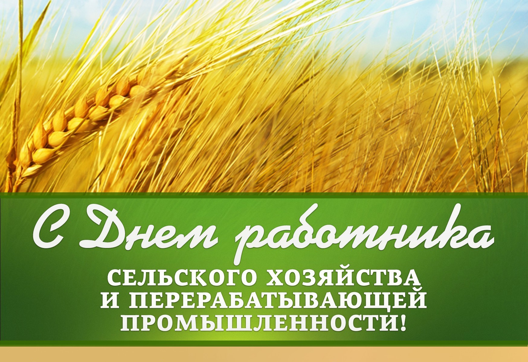 Поздравление главы района Александра Карлова и председателя Думы Михаила Гордиевского с Днем работников сельского хозяйства!