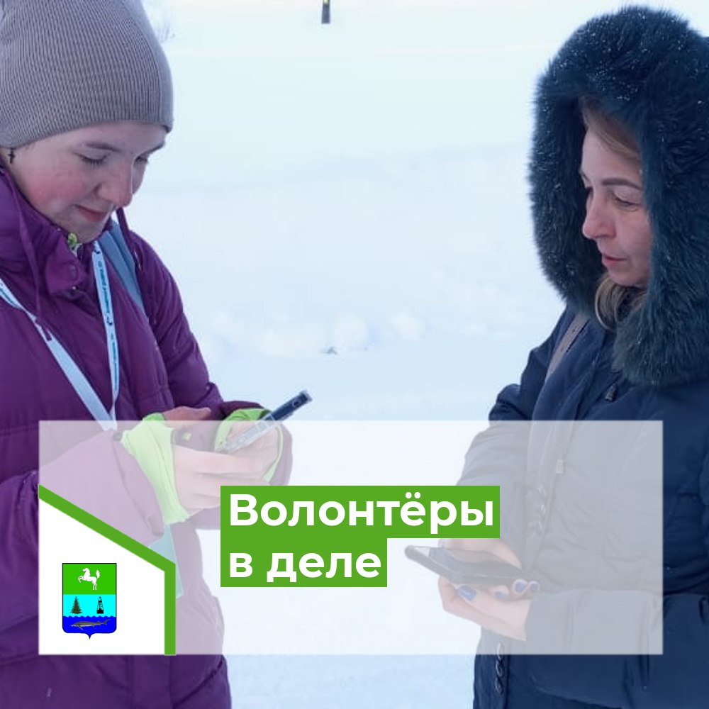Более тысячи волонтеров в Томской области участвуют в голосовании за объекты благоустройства