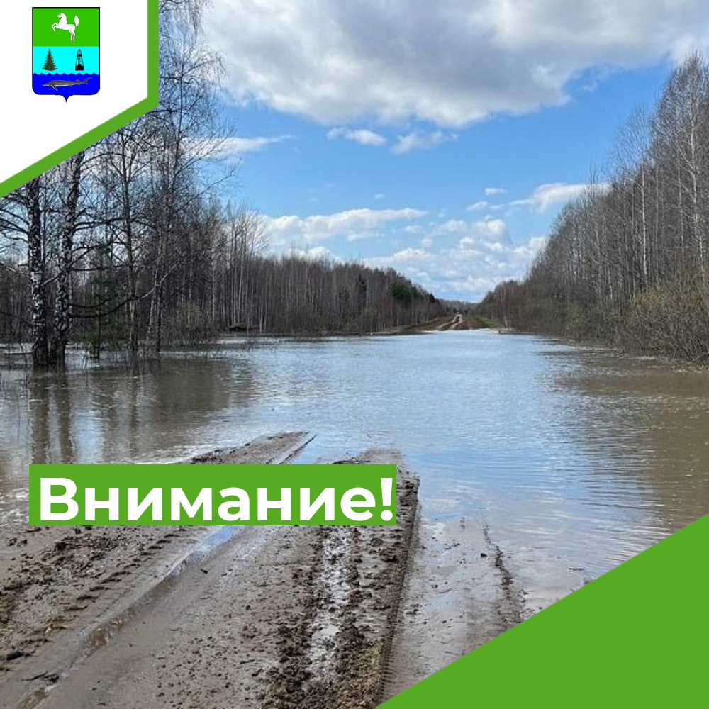 Внимание! Высокая водность!