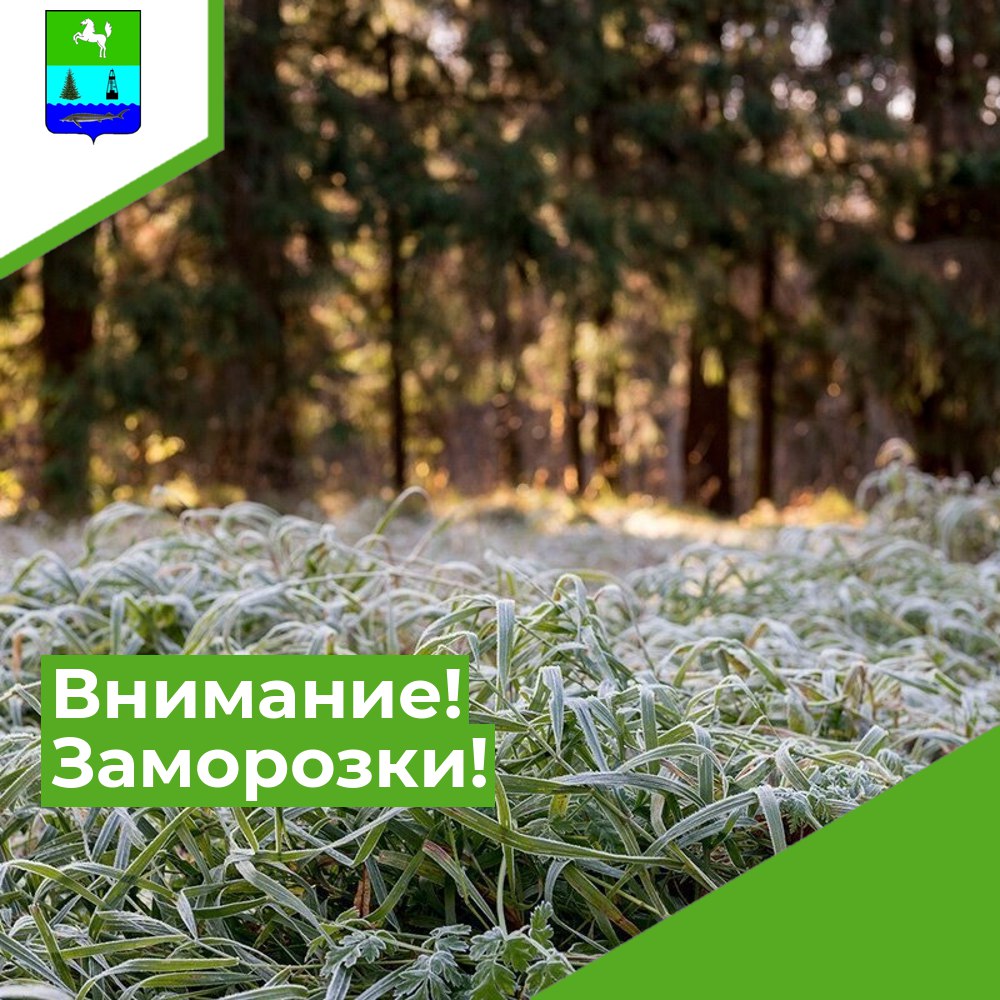 Внимание! Заморозки!